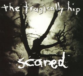 Scared (The Tragically Hip song)